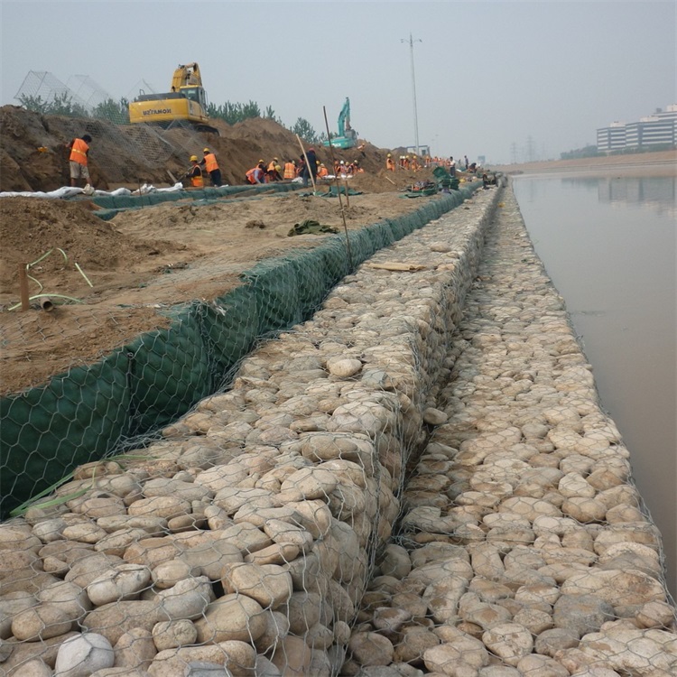 生態(tài)格網(wǎng)護(hù)墊圖片2