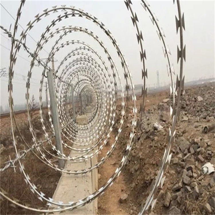 鋼絲焊接刀片刺網圖片3