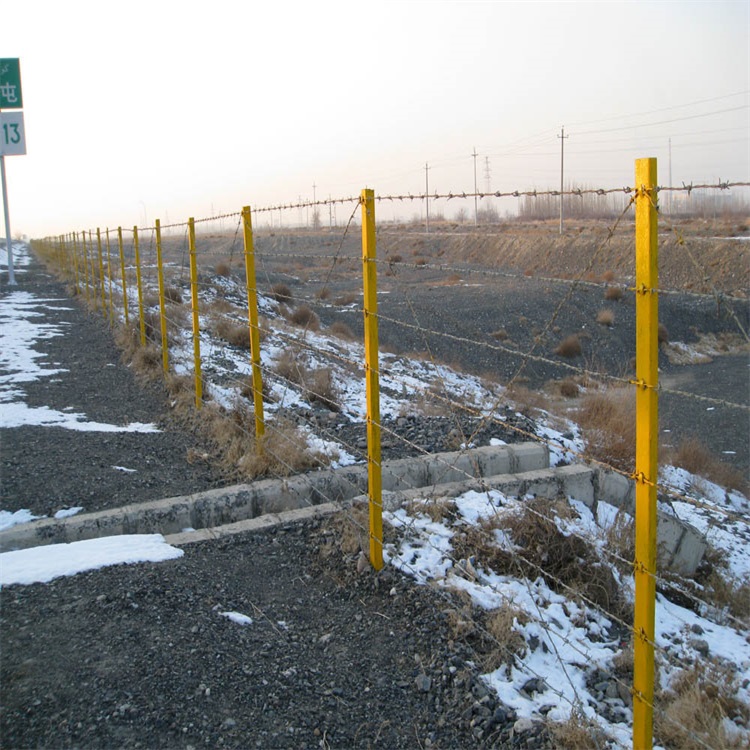 熱鍍鋅雙邊絲圍欄圖片1