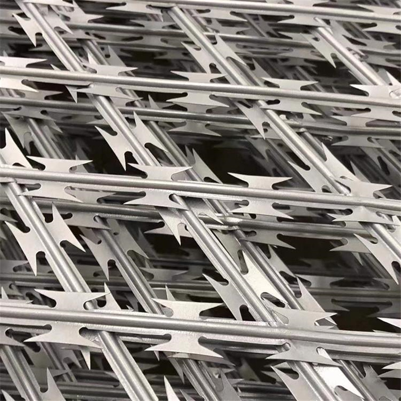 上海監(jiān)獄菱形孔護(hù)欄圖片3