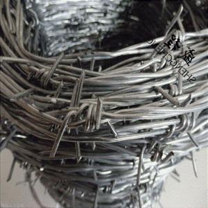 刺鐵絲隔離柵圖片2