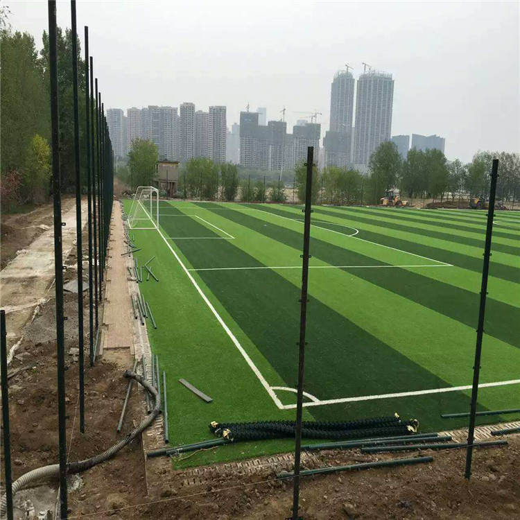 扁鐵式球場圍網圖片4