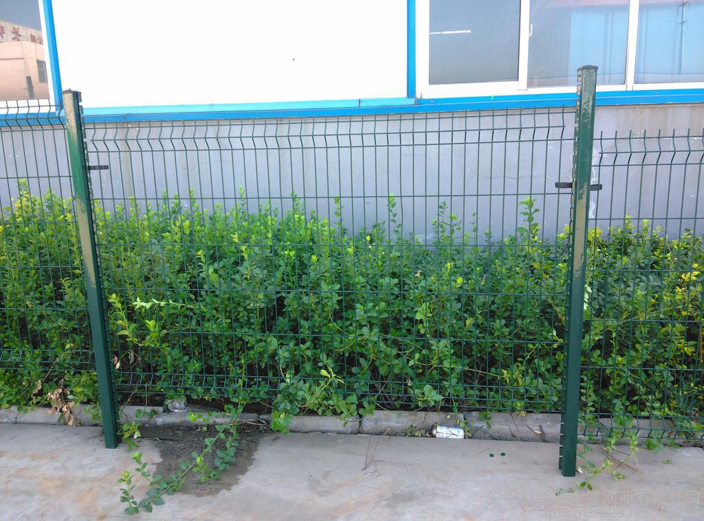 圍墻護欄網圖片3