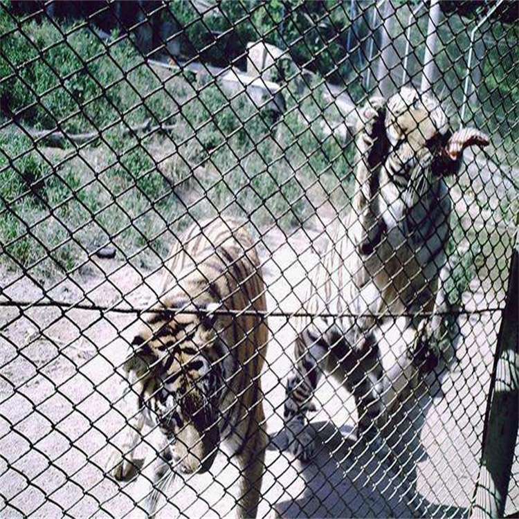 動物園圍欄網圖片2