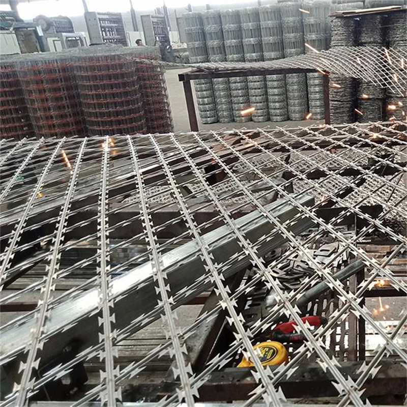 刀片刺網護欄圖片3