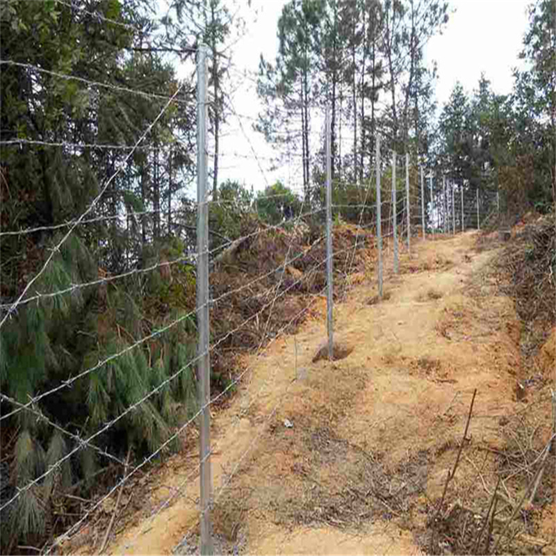 刺鐵絲公路圍欄網圖片3