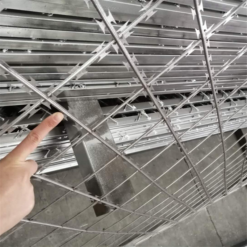 刀刺焊接隔離網圖片4