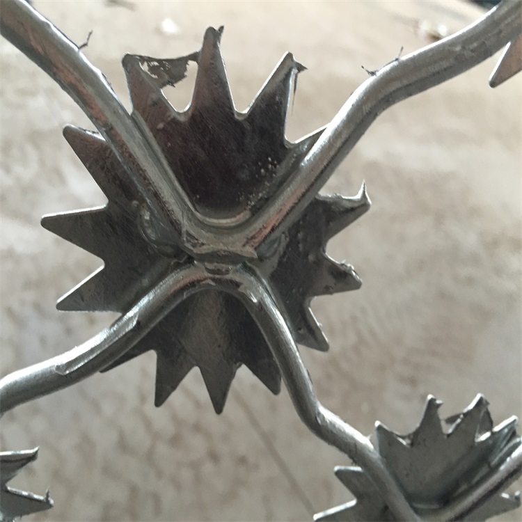 監獄太陽花防爬隔離網圖片2