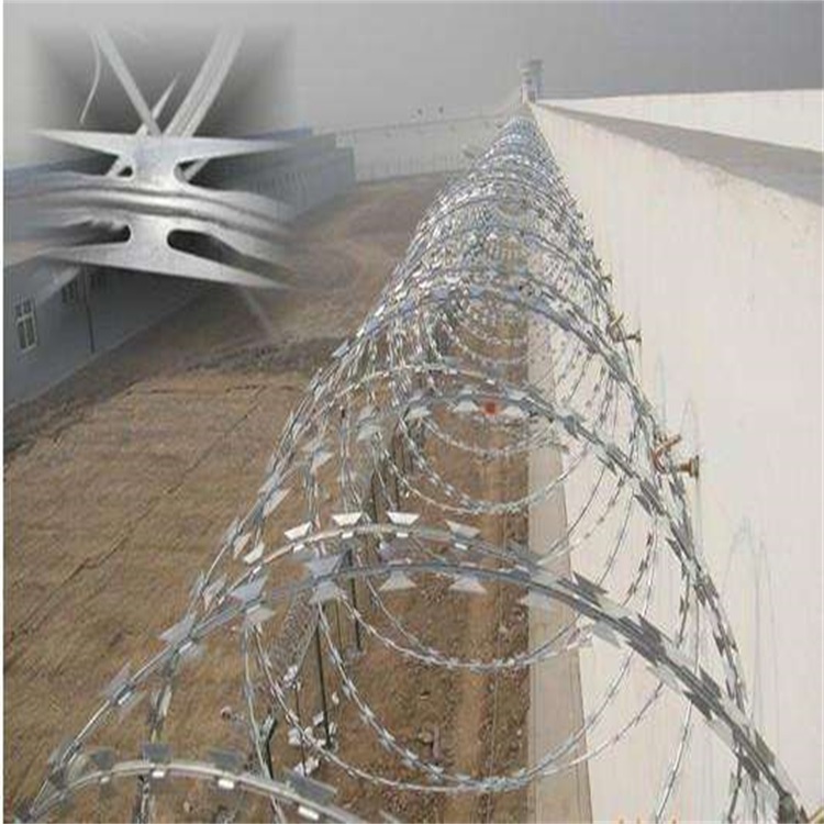 上海不銹鋼刺繩護(hù)欄網(wǎng)圖片1