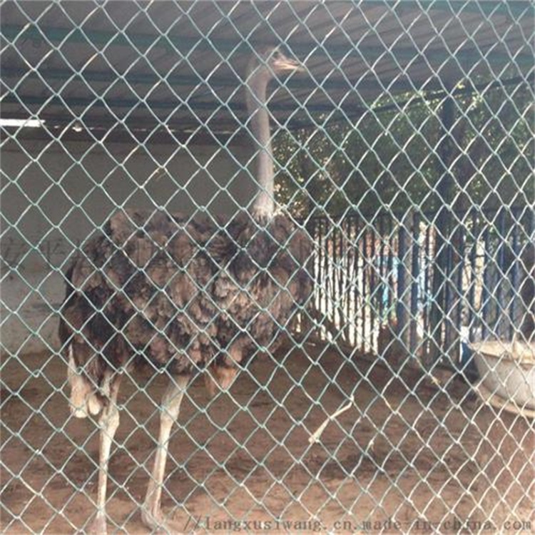 生態(tài)修養(yǎng)圍欄圖片4