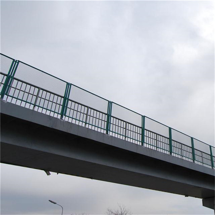 人行天橋防拋網圖片4