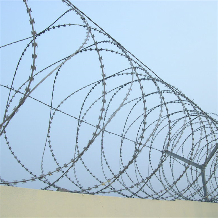 螺旋刀刺網圖片2