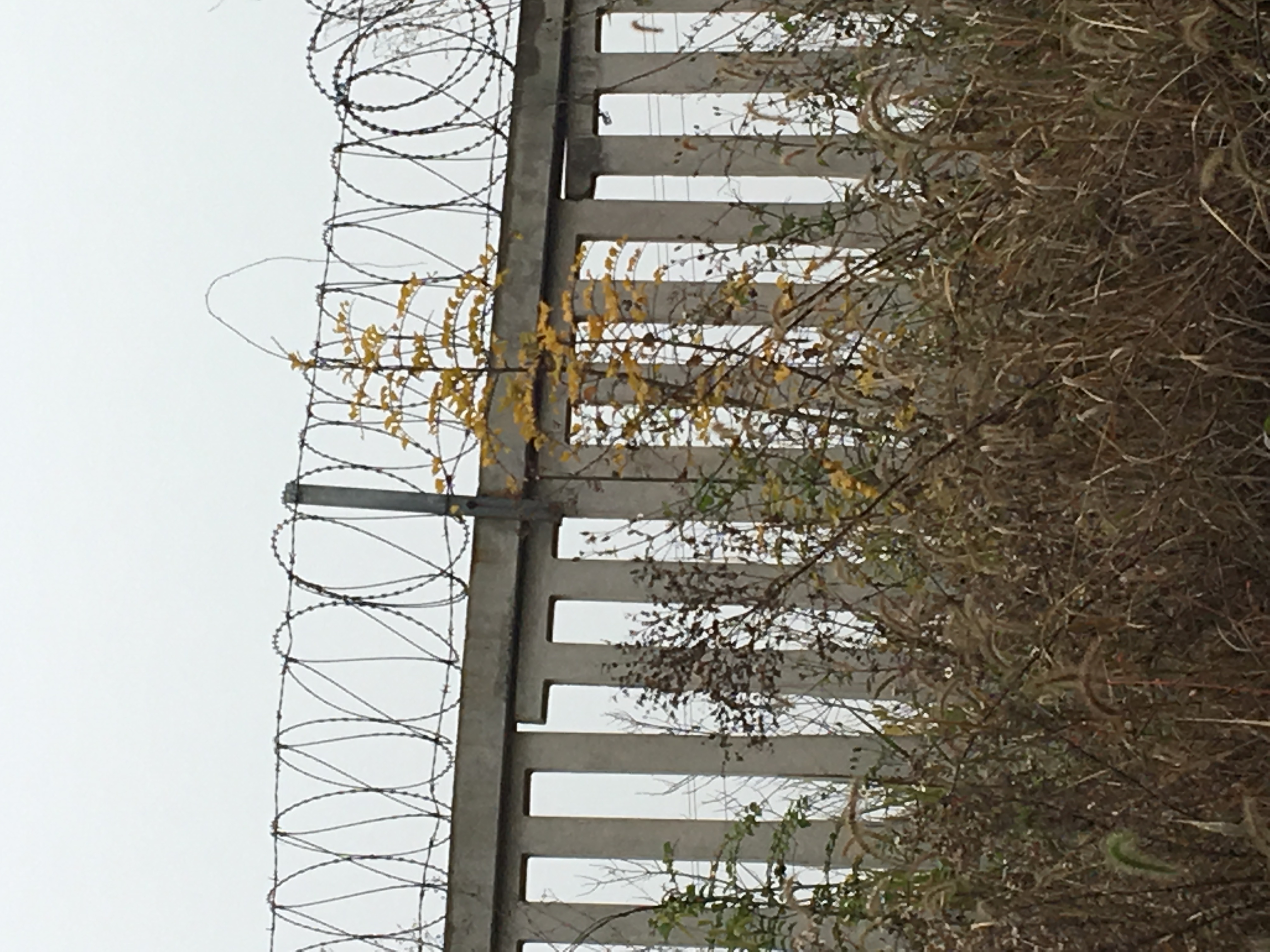 鐵路蛇腹型鍍鋅刀片刺絲滾籠