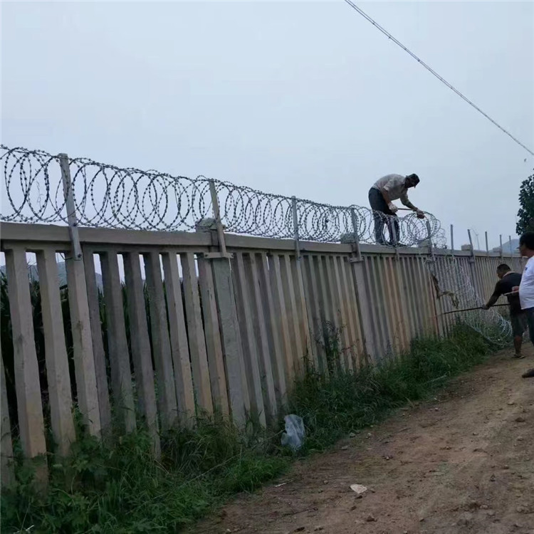 監獄專用不銹鋼刺刀圈圖片2