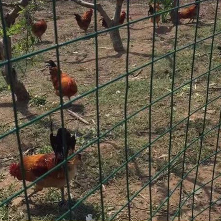 上海菜園果園圍養(yǎng)殖圍欄防牲畜護欄網(wǎng)圖片2