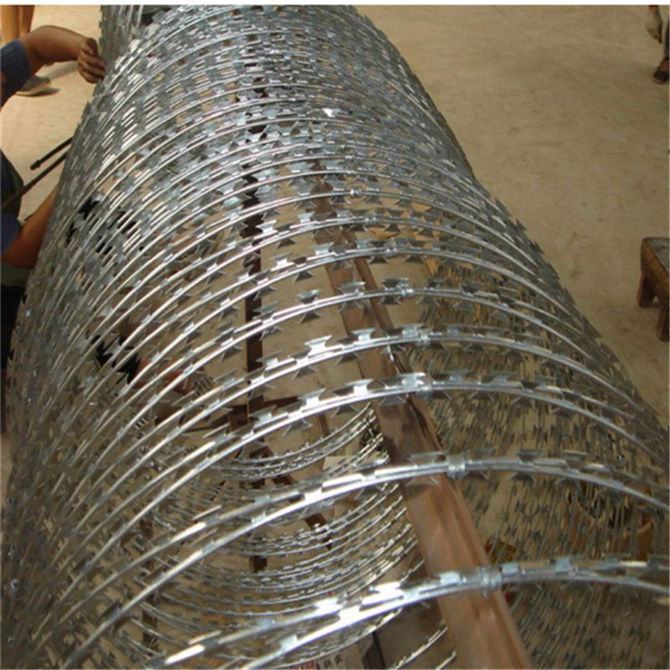 螺旋刀刺網(wǎng)圖片1